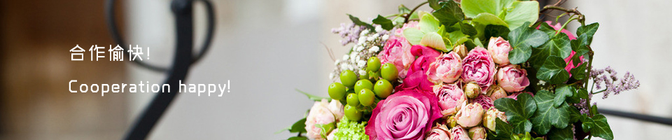 �����\(y��n)�ɻ��w�������޹�˾