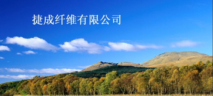 �ݳ��w�S���޹�˾