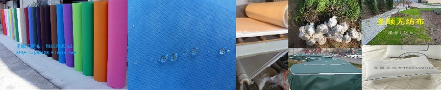 �ӱ�ʥ�U�o(w��)������˾