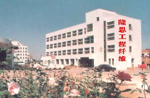 淄博隆恩纖維有限公司