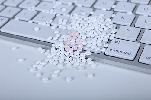 SE8282��ɫĸ��