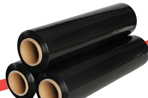 E0038��ɫĸ��