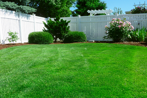 EMH6957��ƺ�Gɫĸ��