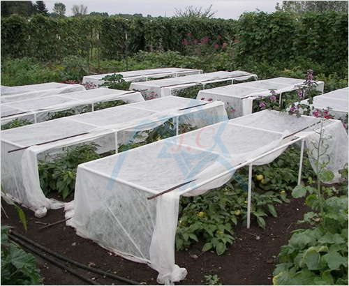 ��uv-�o(w��)����