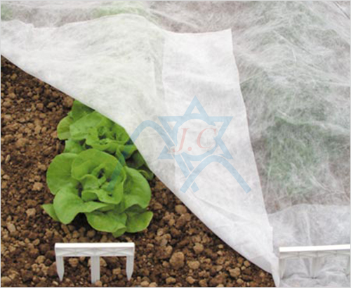 �ӏ�(qi��ng)߅pp��ճ�o(w��)����