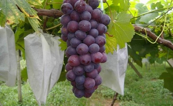 ���ѱ��o(h��)��