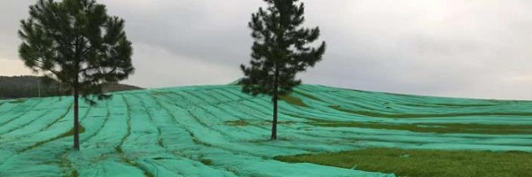 �G���p�����B(t��i)���ݲ�