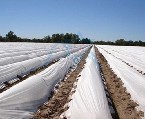 �wĤ�ü�ճ�o����