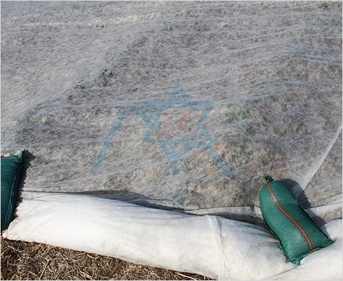 �wĤ�ü�ճ�o����