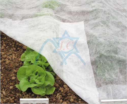 �wĤ�o����