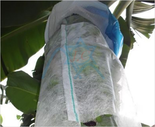 �㽶���ü�ճ�o����