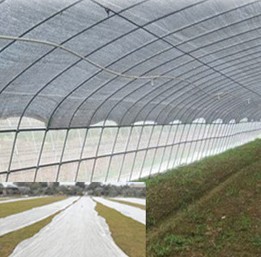 �r(n��ng)�I(y��)�ßo(w��)����