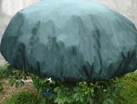 �r(n��ng)�ßo(w��)����