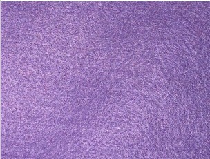 ���{(l��n)ɫᘴ̟o(w��)����