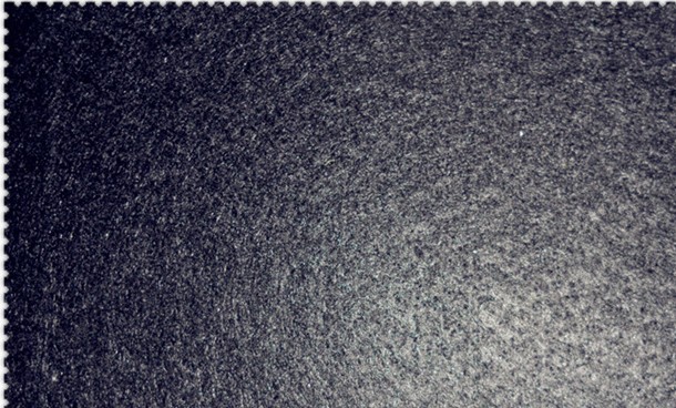 ������o����