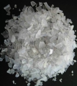 PP ͸���������w��