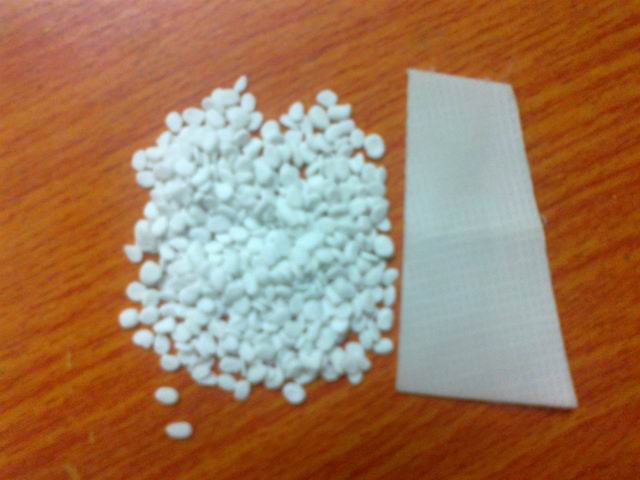 �͜�?z��)����z�ی����ĸ��