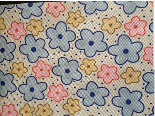 ��ճ�o(w��)����