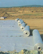 �����o(w��)����