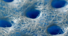 3D��ן��L(f��ng)�o����