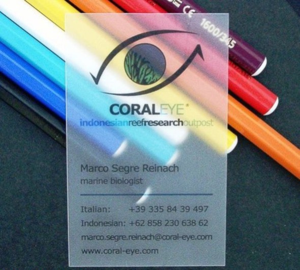 PVC��Ƭ������͸��PVC��Ƭ������ĥɰ