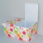 ����Ů�ɡ��p�w�ռ{�����ռ{�������������