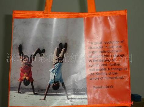 ��(f��)Ĥُ���