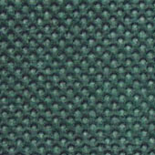 ����(y��ng)pp�o����