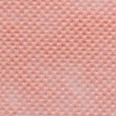 PP��ճ�o����