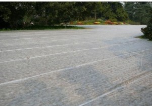 �@�֟o(w��)����