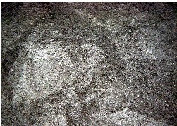 �����܇�ò�