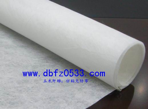 PLA�����᣺��ճ�o����