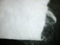 ���������(ch��ng)�L(zh��ng)�z������