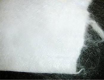 �L(zh��ng)�z�������S������ë�L(zh��ng)�z��