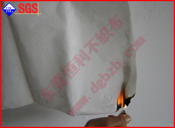 ��ȼ�o����