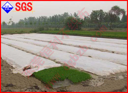 �����ßo����