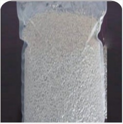 ����ĸ��