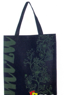 �o����ُ���