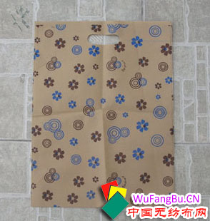 �o����ƽ�ڴ�