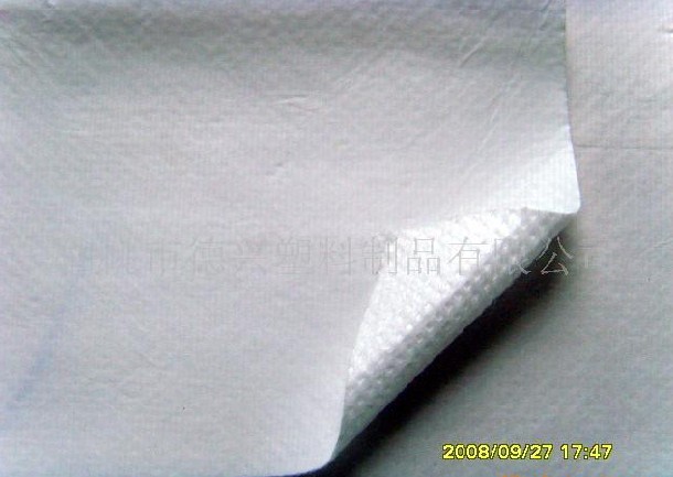 SF��(f��)�ϟo����