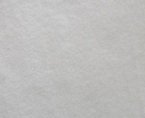 ��ȼ�����o����