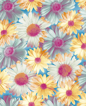 ӡ���o����