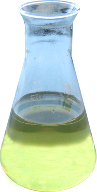 �ϳɌ�����