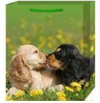 PP�YƷ�V���