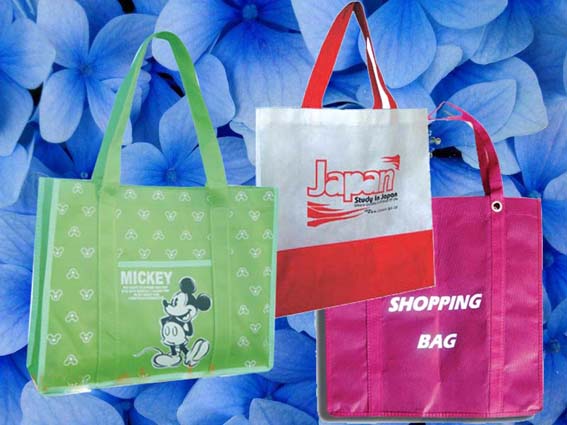 ��ӡ�o������