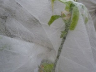 10��PP���]��ճ�o(w��)�����h(hu��n)���^(gu��)�V��