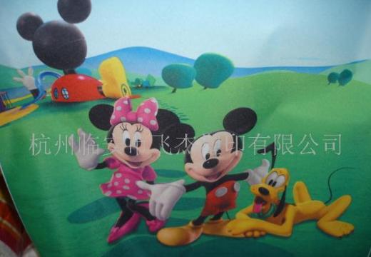 ���D(zhu��n)��ӡ����