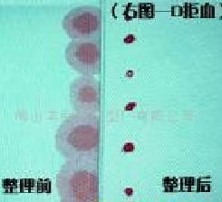 �t(y��)��������SMS�o���� 