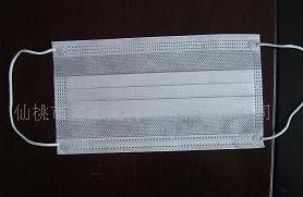 �o�����c������