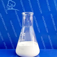 �Օ��ζ����턩 HOLPOSON® Co